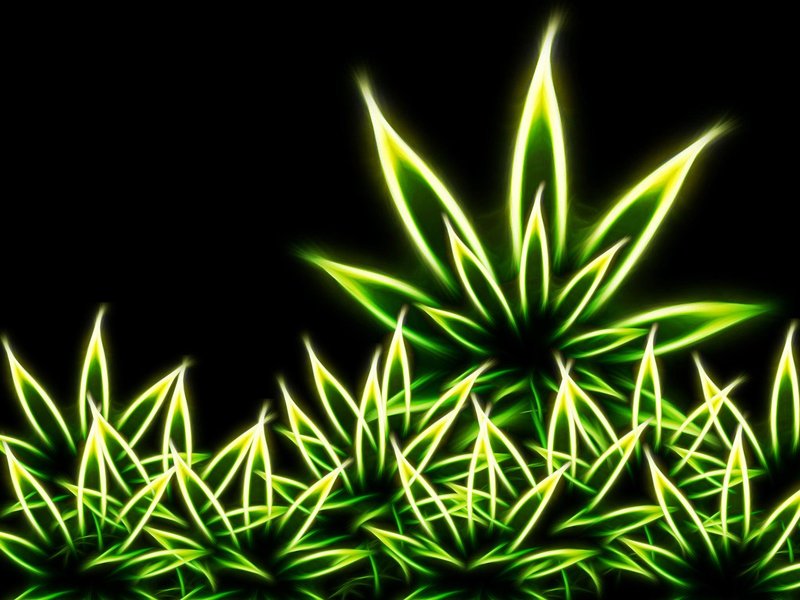 Cool Weed