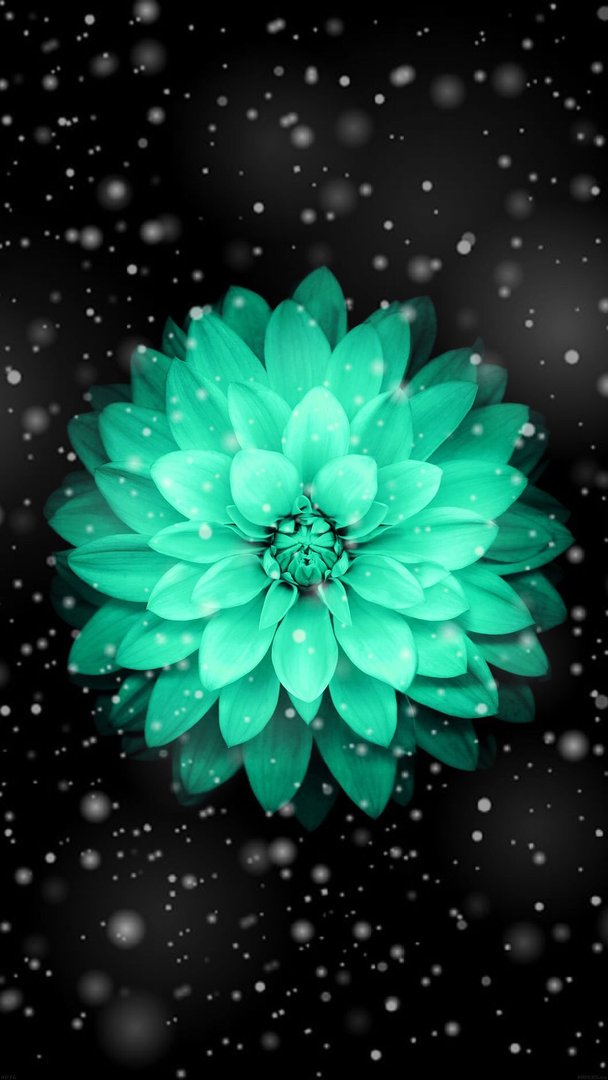 Pretty Picture.jpg