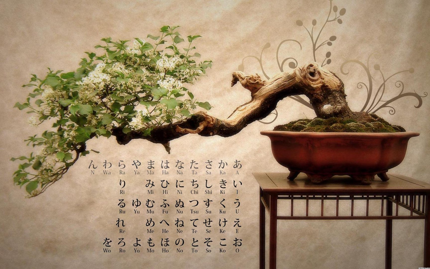 Japanese photo.jpg