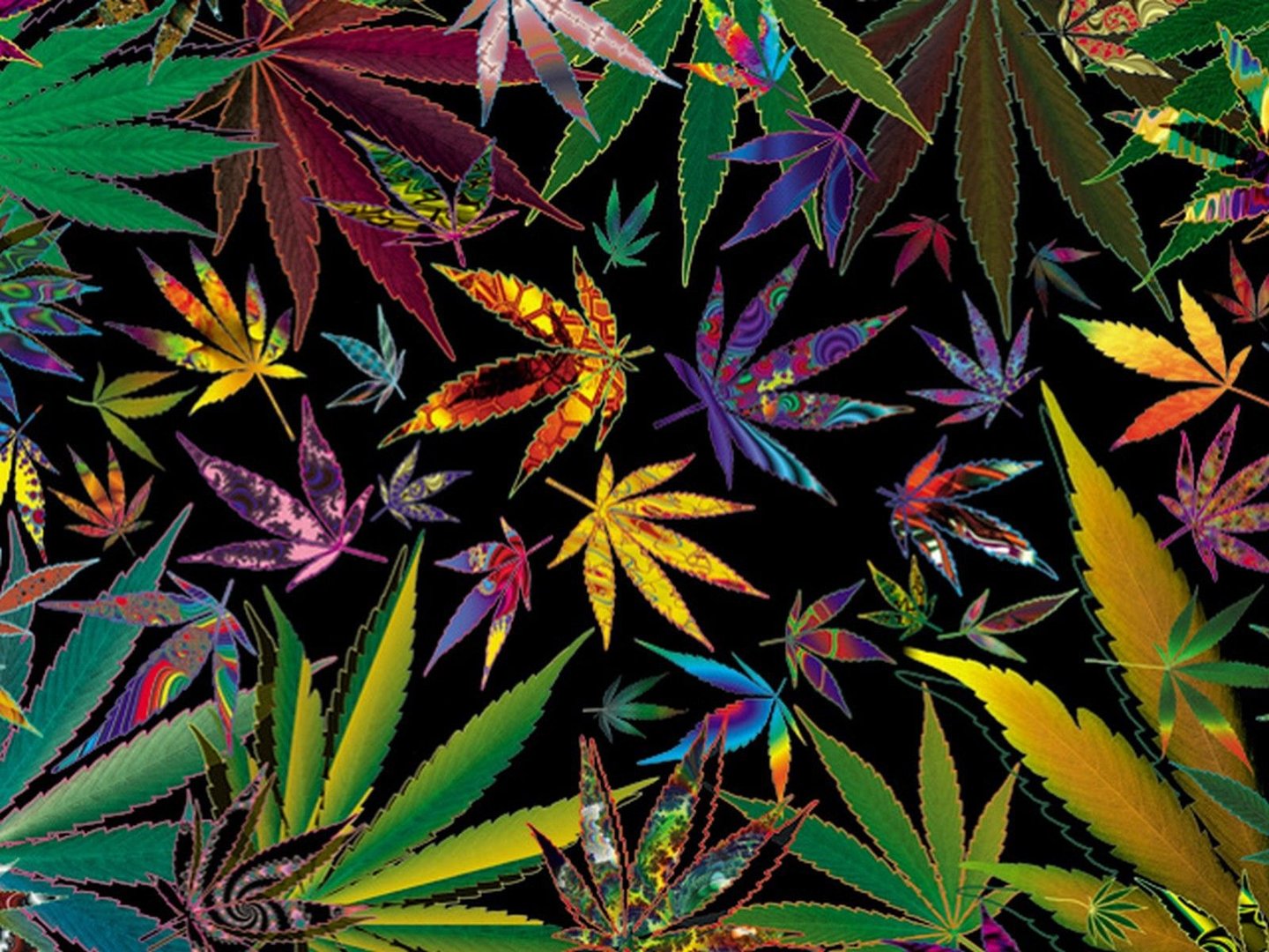 Stoner Picture.jpg