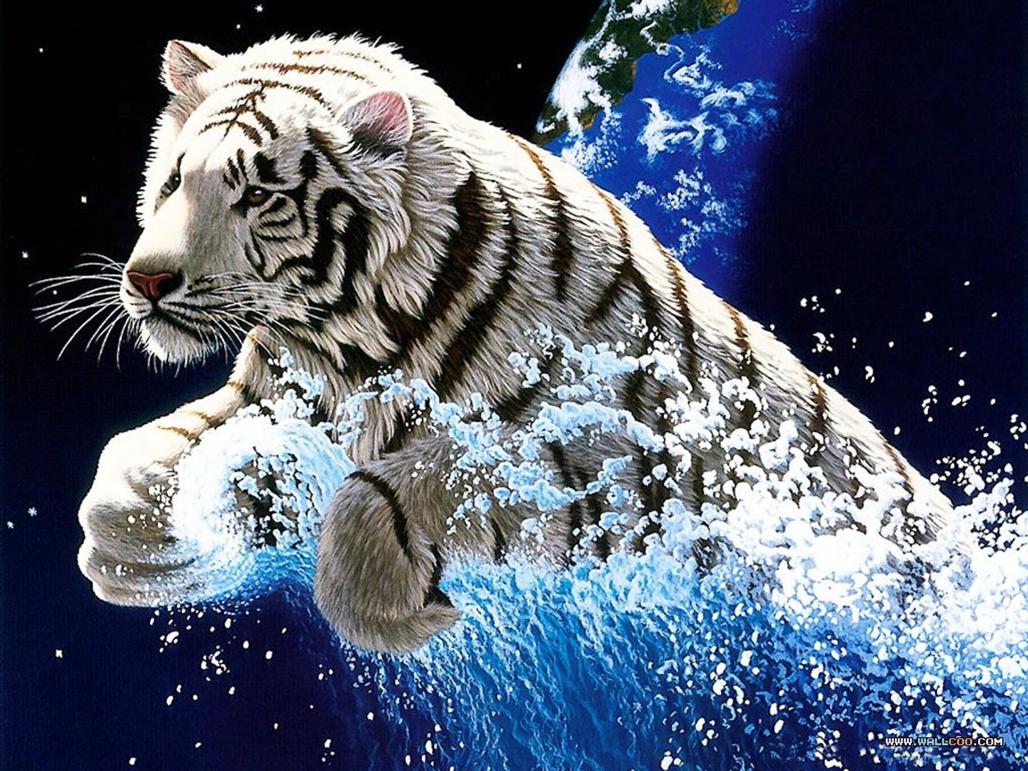 Animated Wallpapers.jpg