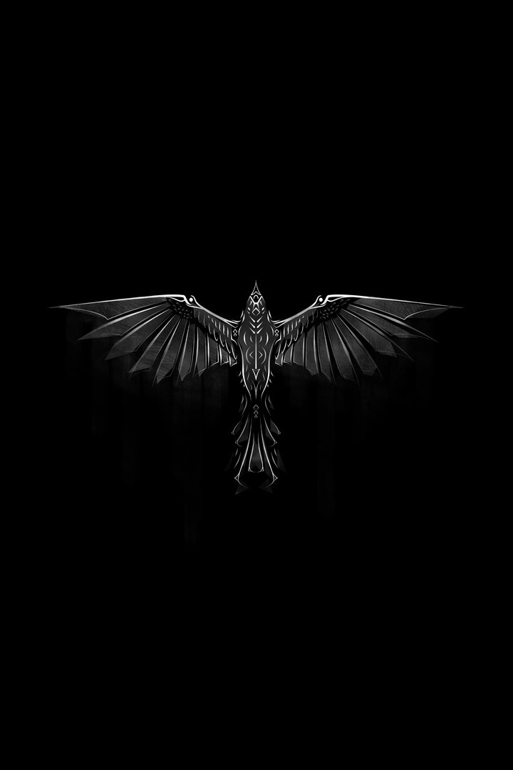 Dark Viking picture.png