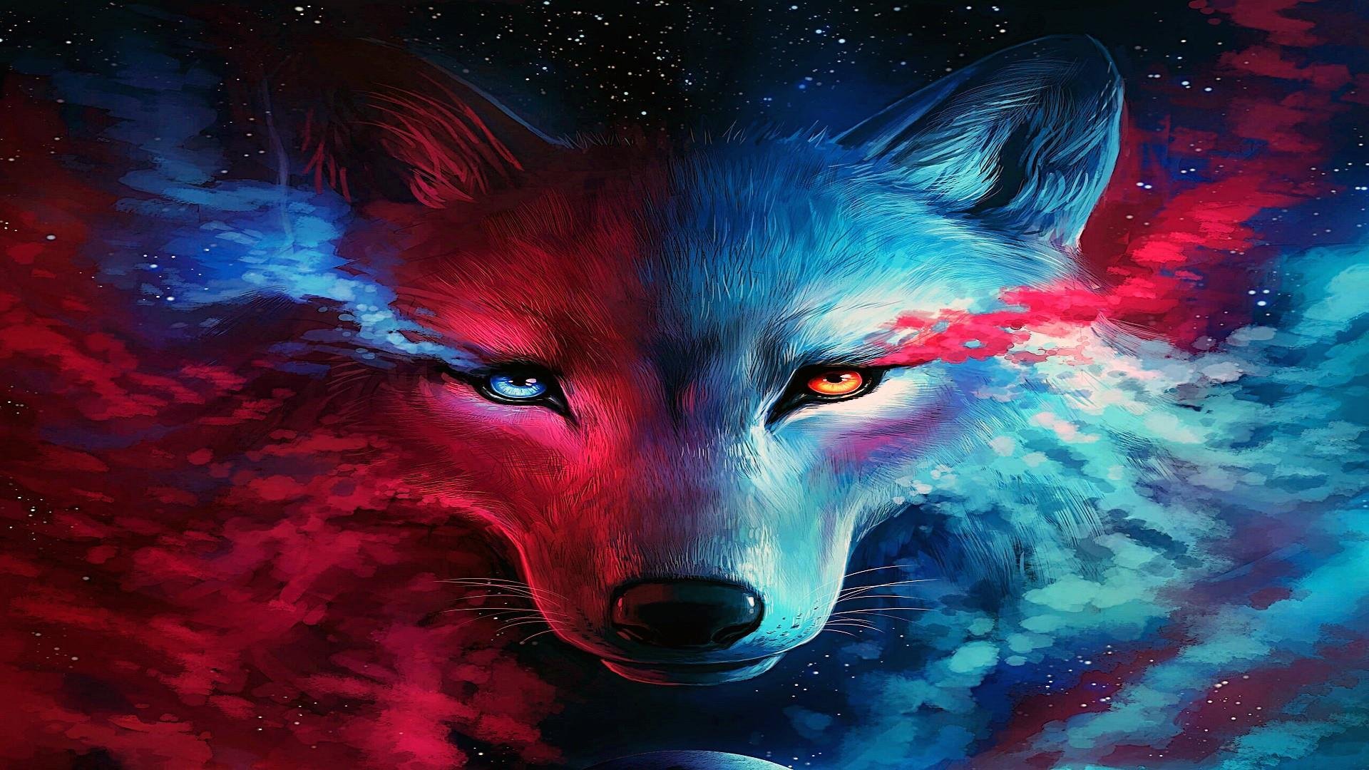 Galaxy Wolf Pictures.jpg