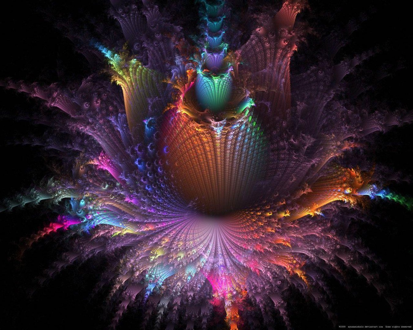Super Cool Pictures.jpg