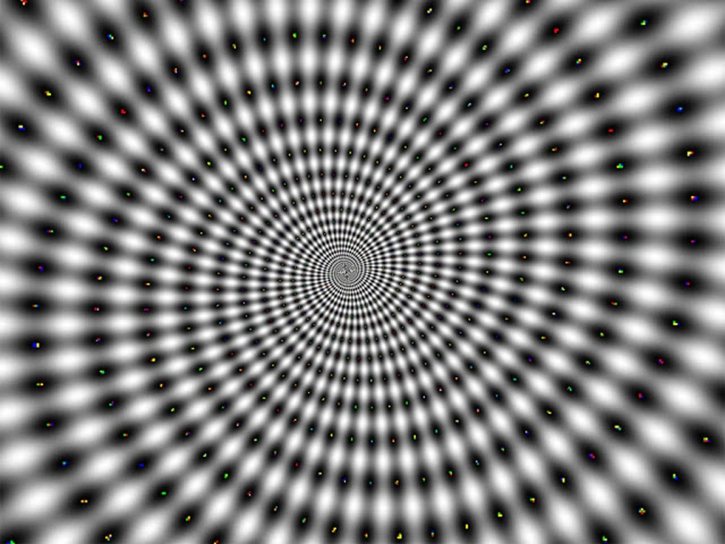 Cool Optical Illusions Picture.jpg