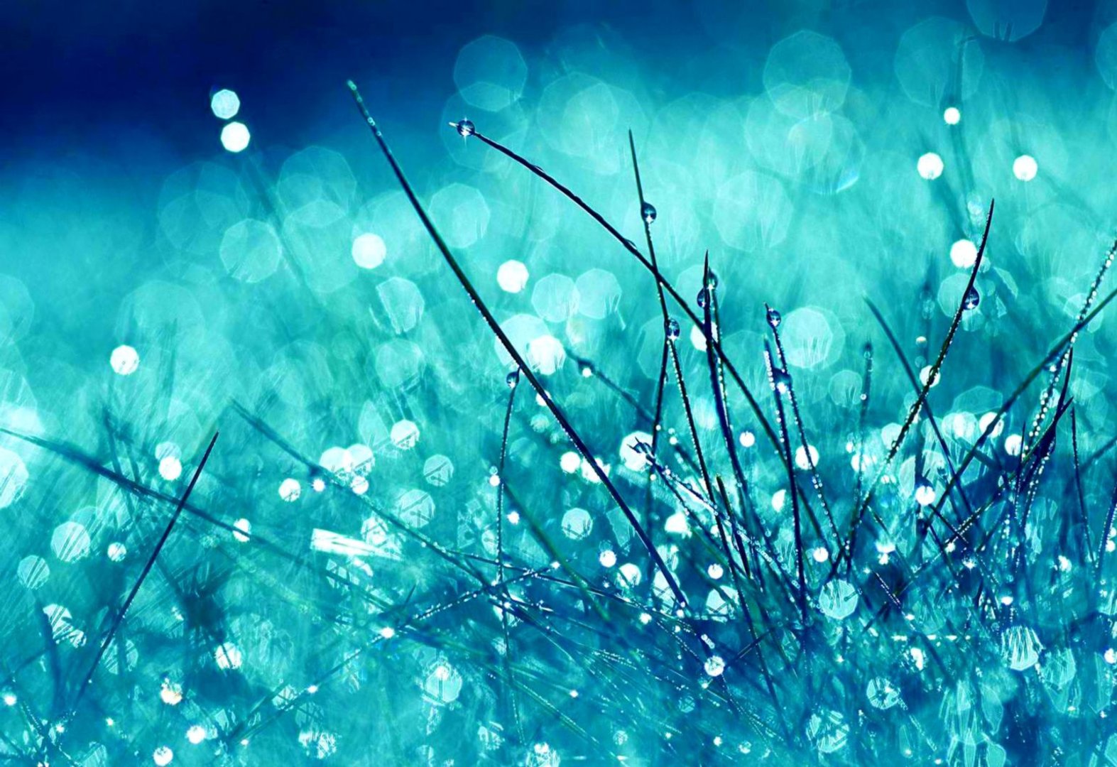 Cool Cute Wallpapers.jpg