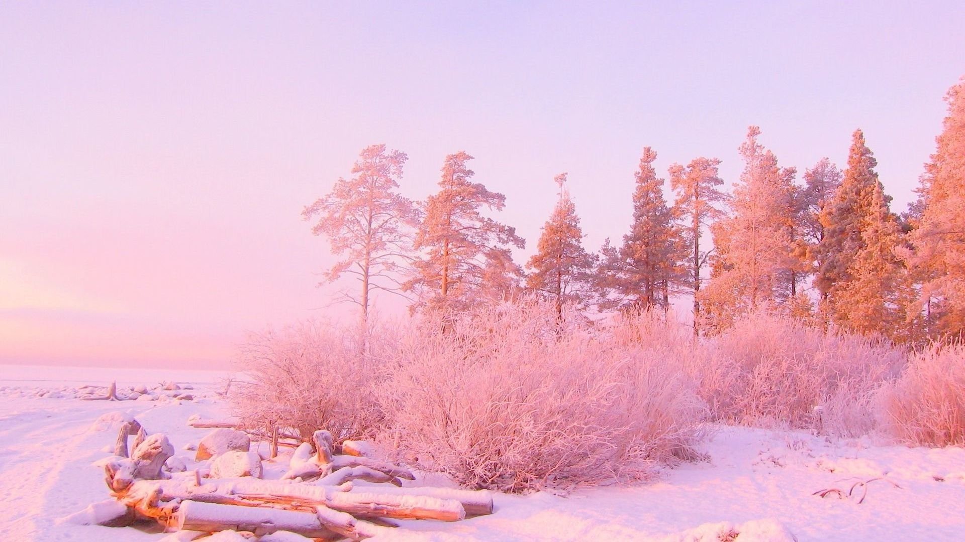 Background Photo .jpg