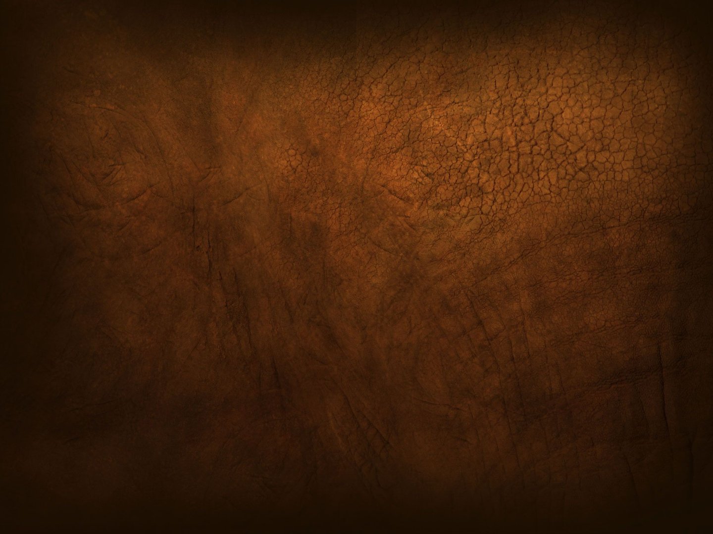 Aesthetic Brown Images.jpg