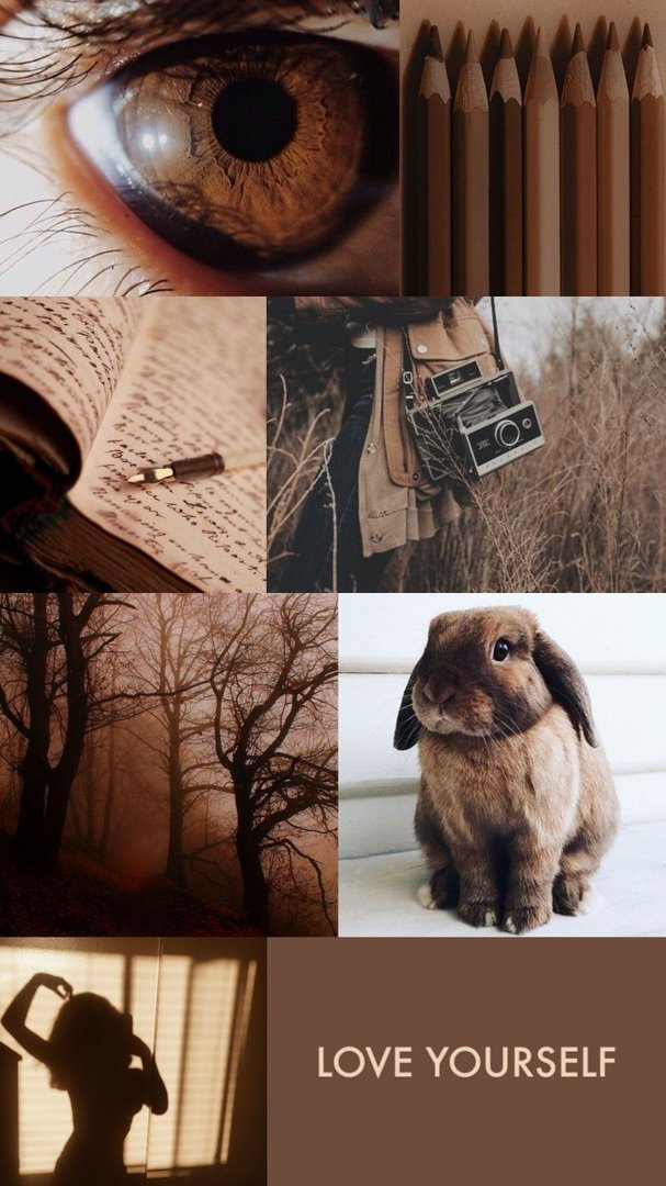Aesthetic Brown Pic.jpg