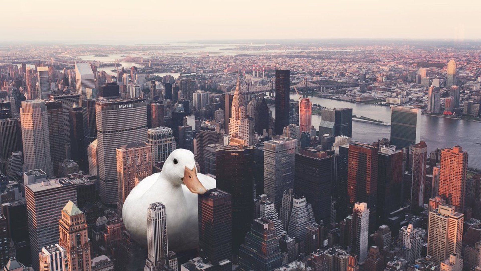 Aesthetic City images.jpg