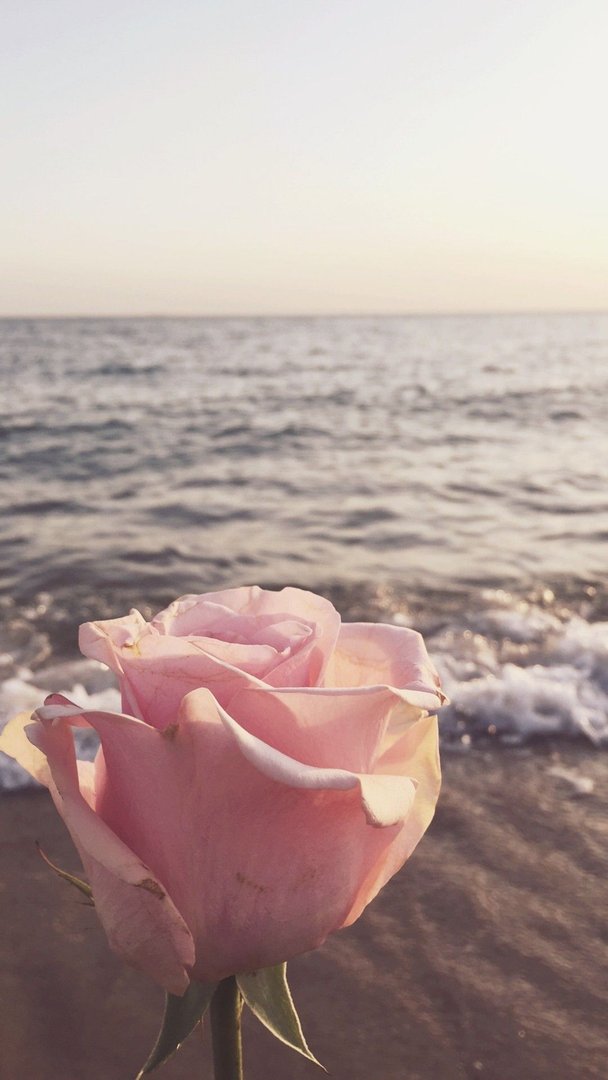Summer Aesthetic Wallpapers.jpg