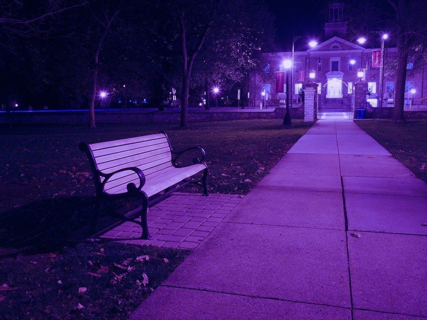 Purple Aesthetic Wallpapers.jpg