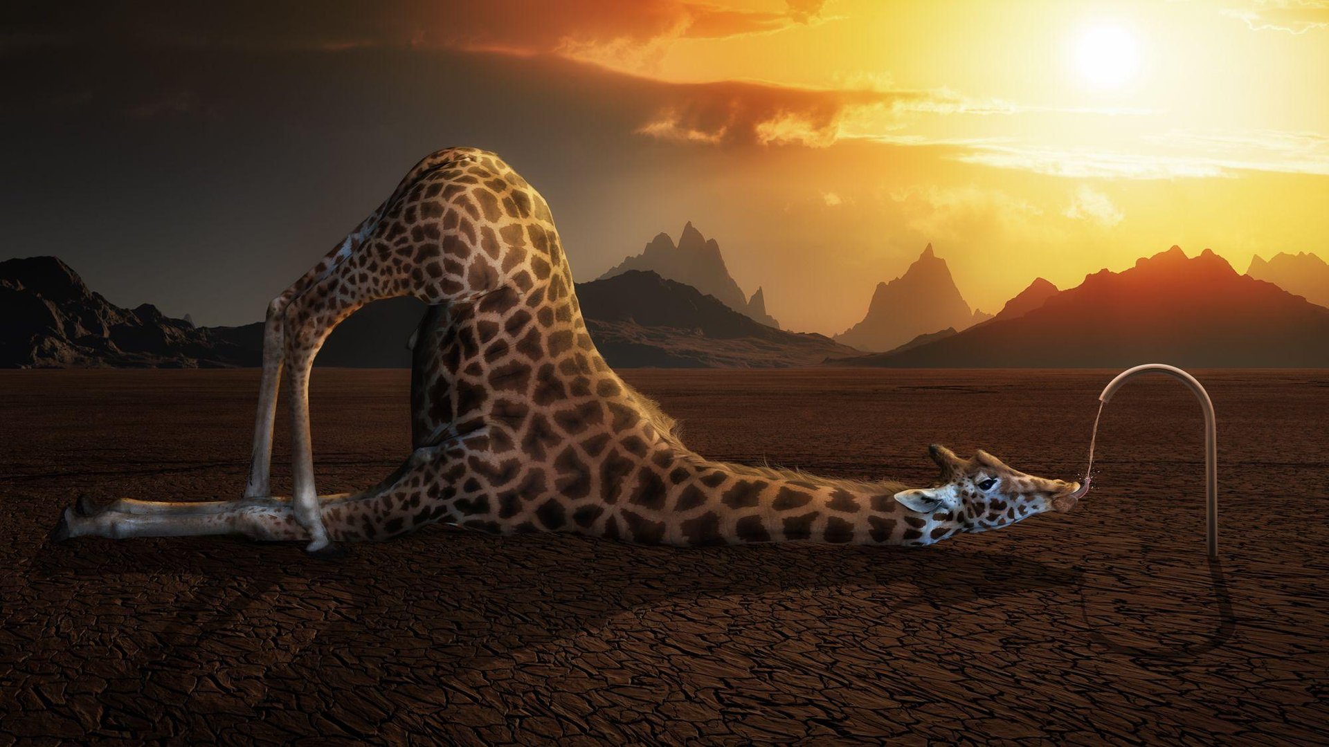 Weird Wallpapers.jpg