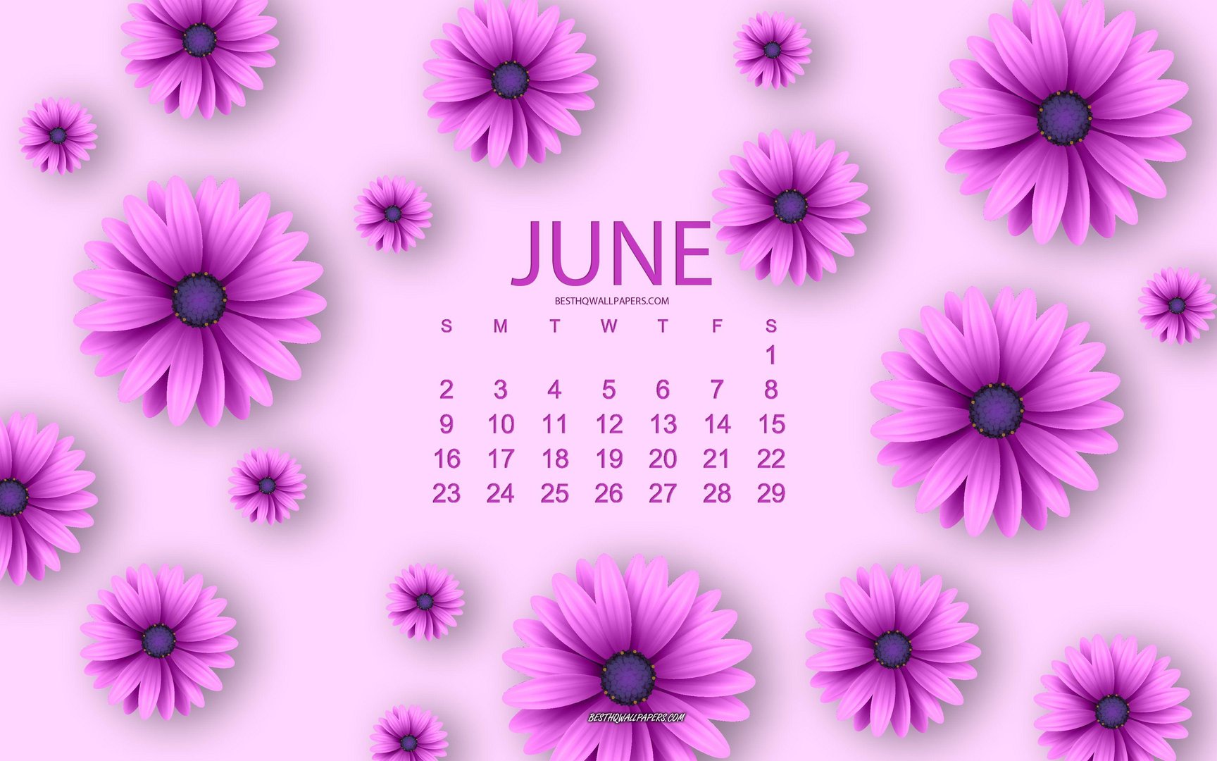 June pic.jpg