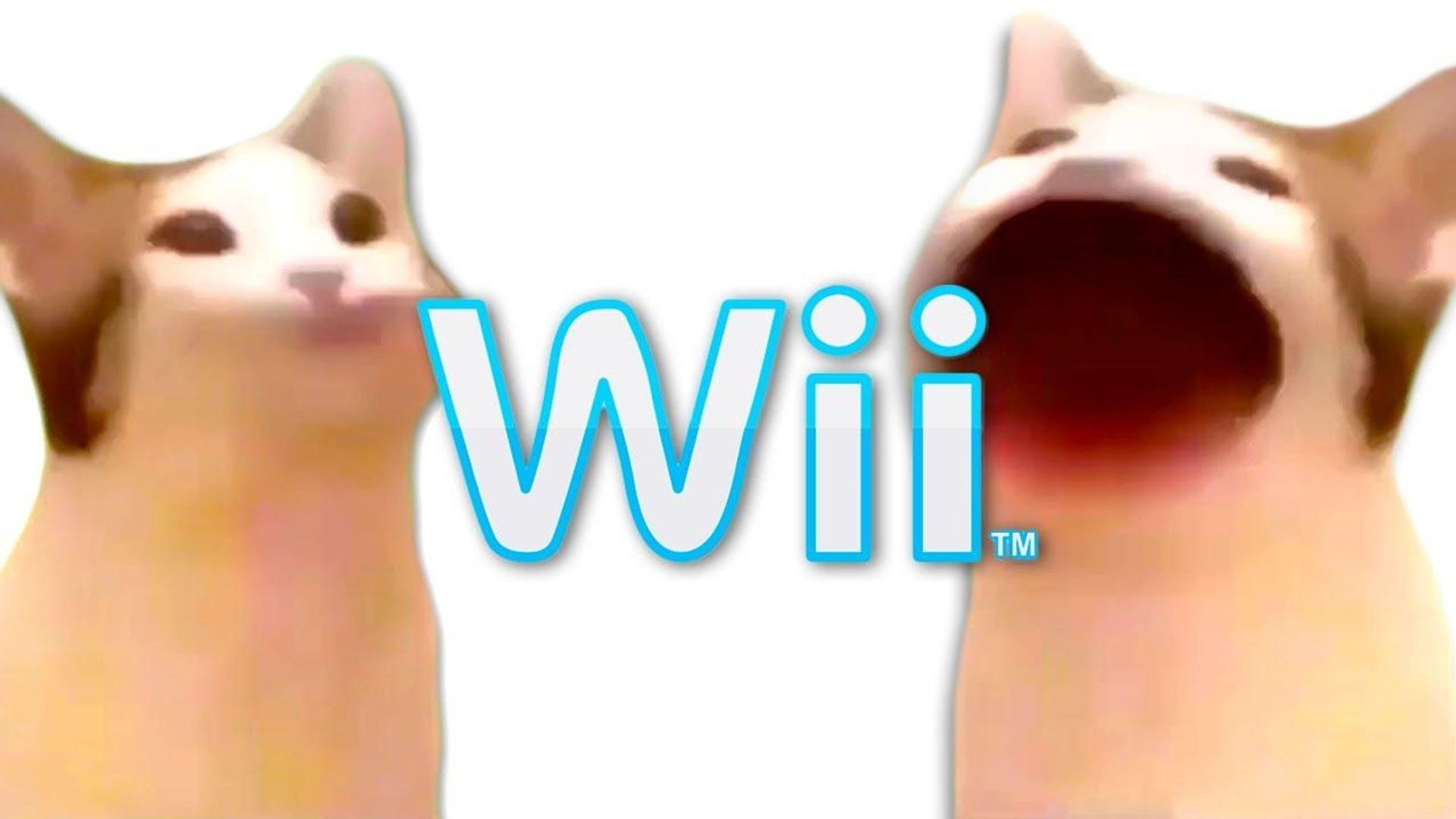 Popcat wallpapers.jpg