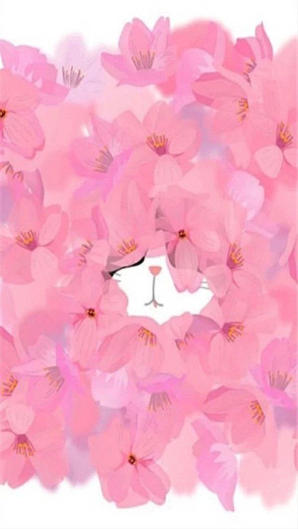 Pretty Phone wallpaper.jpg