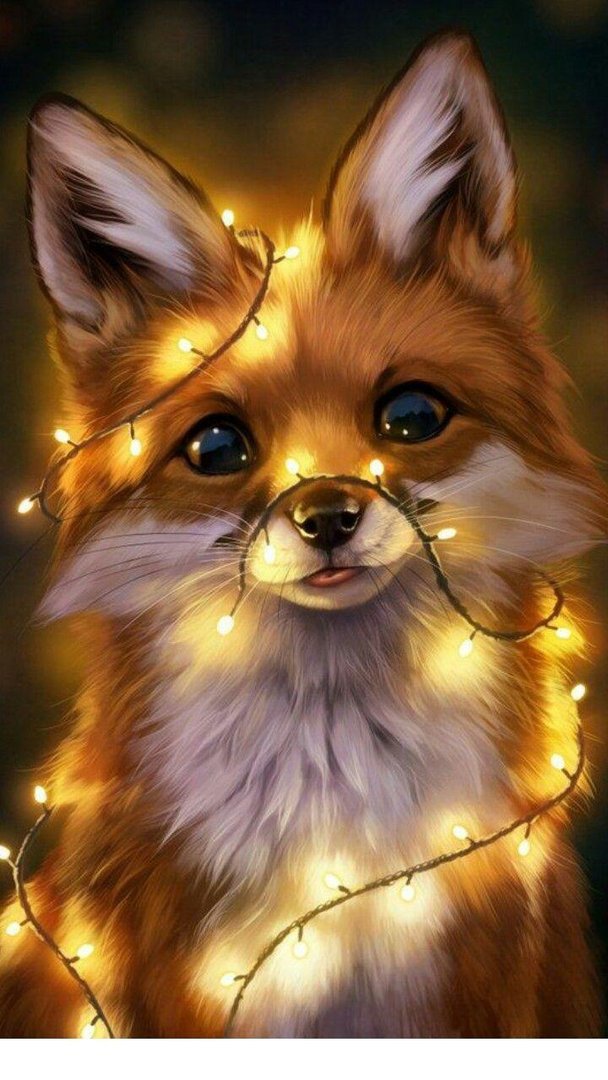 Cute Fox Drawing picture.jpg