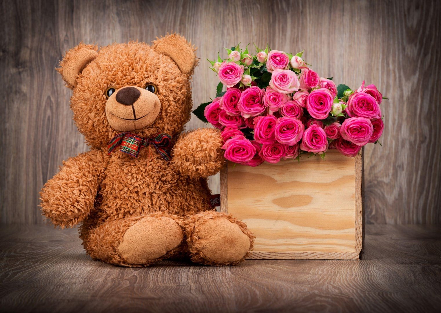 Cute Bear picture.jpg