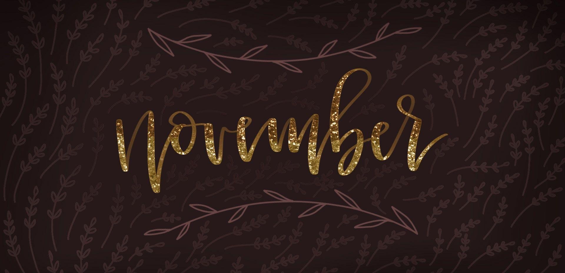 November pictures.jpg