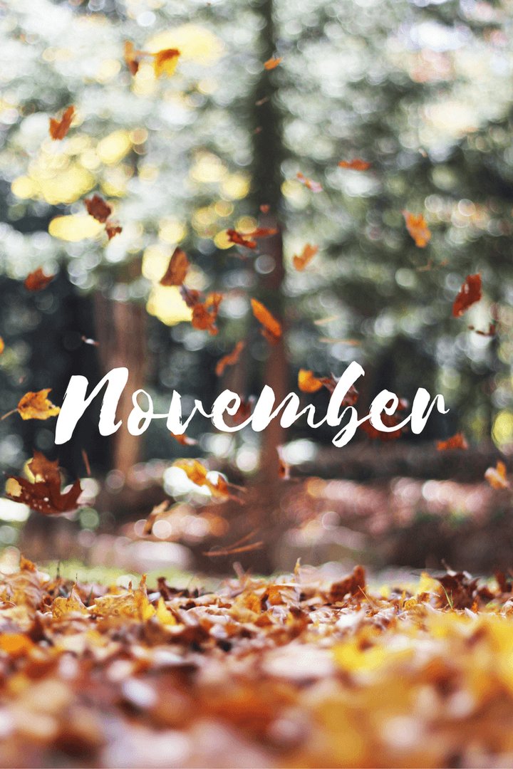 November pics.png