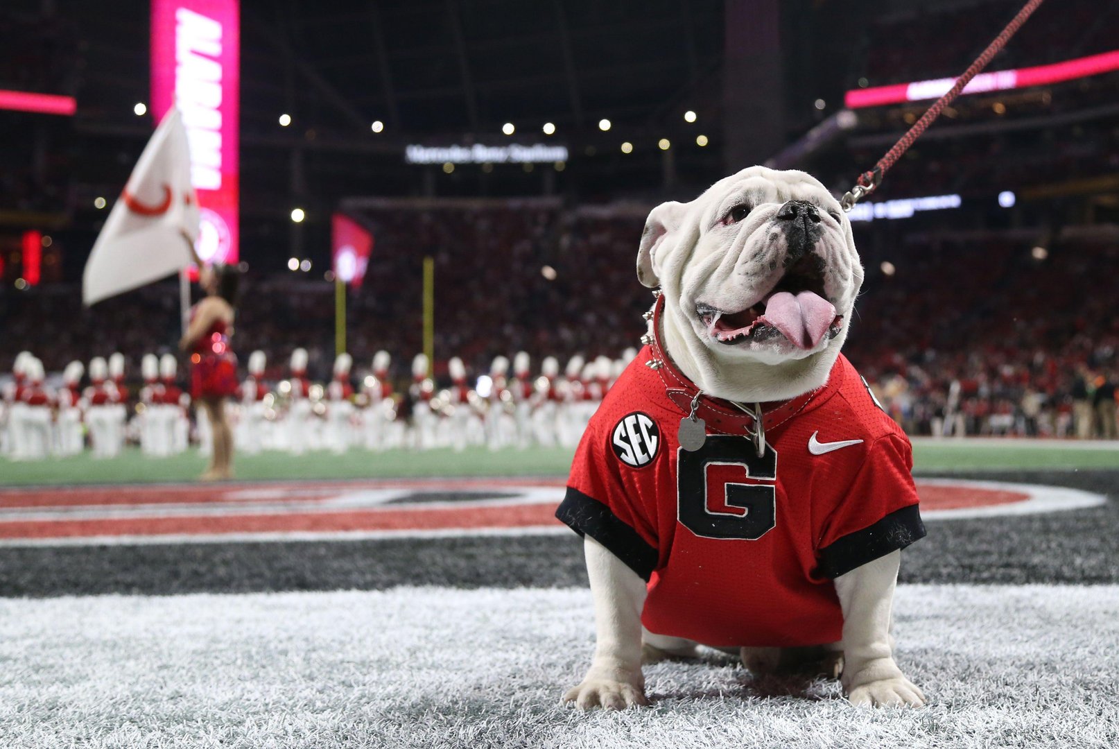 Georgia Bulldogs wallpapers.jpg