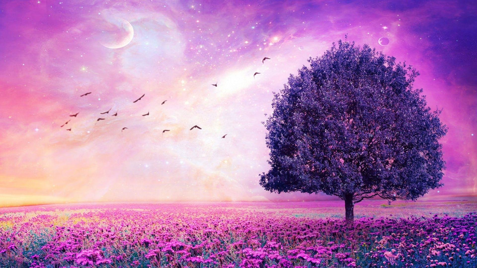 Cute Purple Desktop wallpapers.jpg