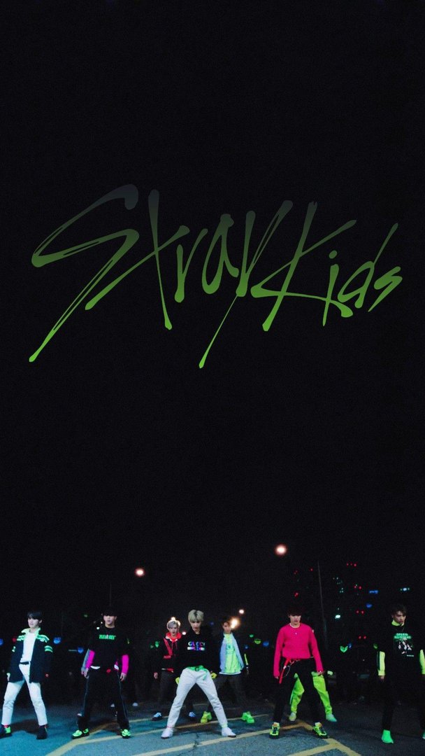 Stray Kids picture.jpg