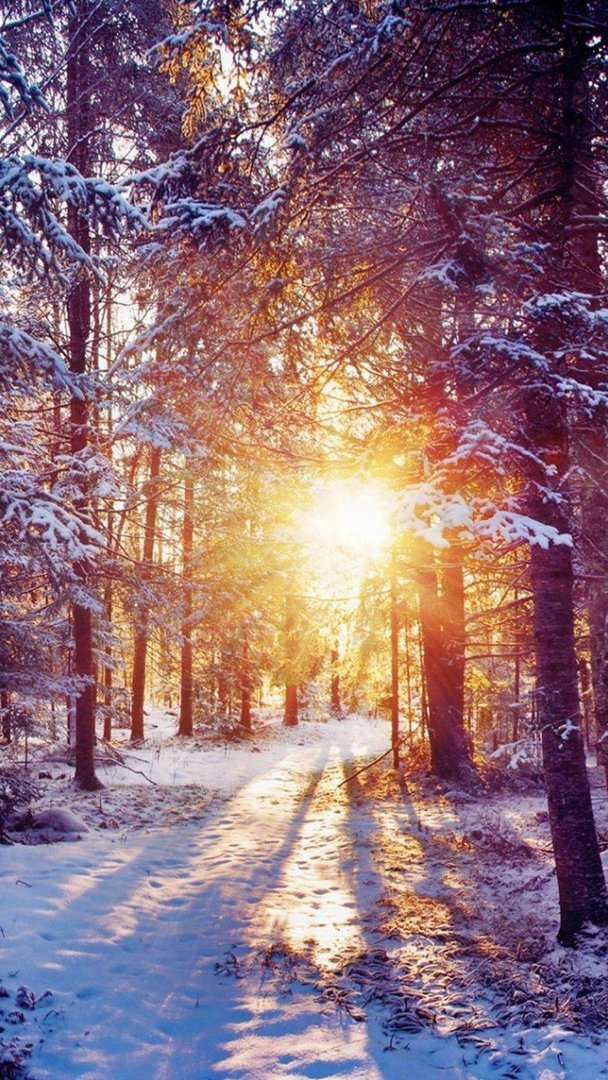 Cute Winter pictures.jpg