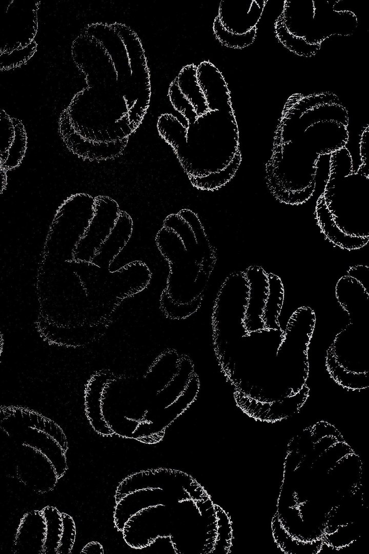 Kaws Black and White picture.jpg