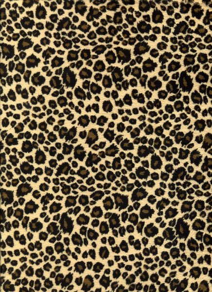 Cheetah Print