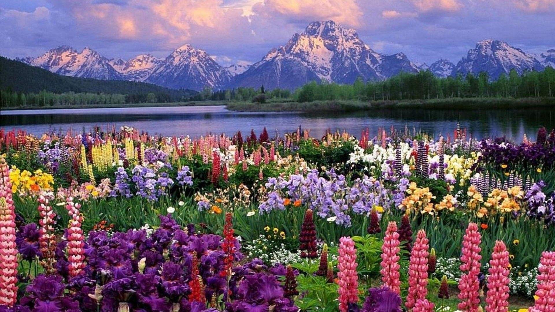 Cute Spring Desktop pics.jpg