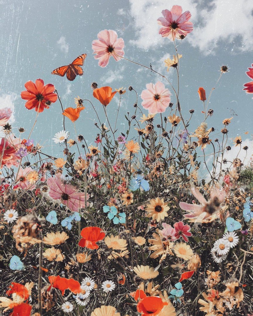 Cute Aesthetic Flower pics.jpg
