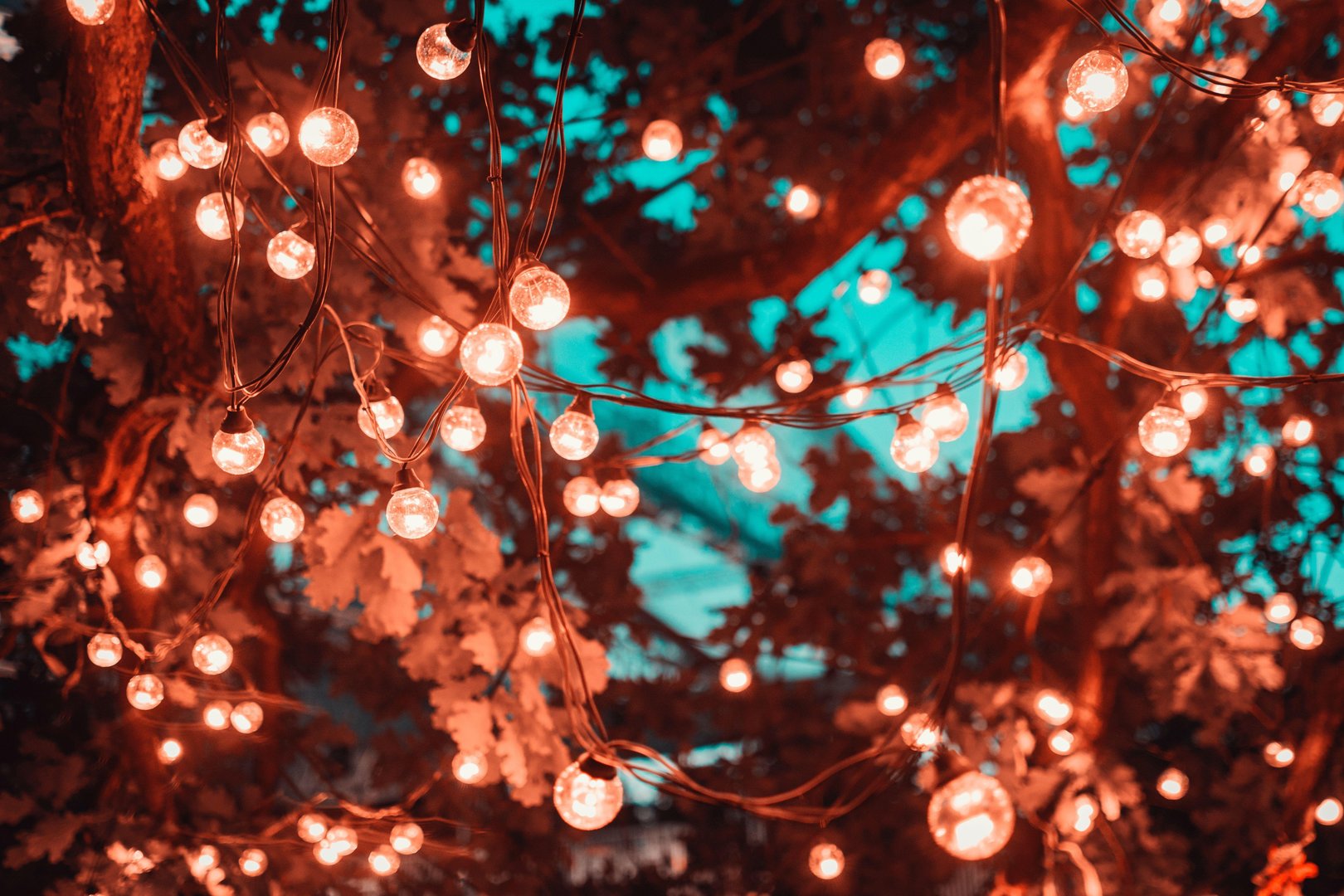 Fall Lights picture.jpg