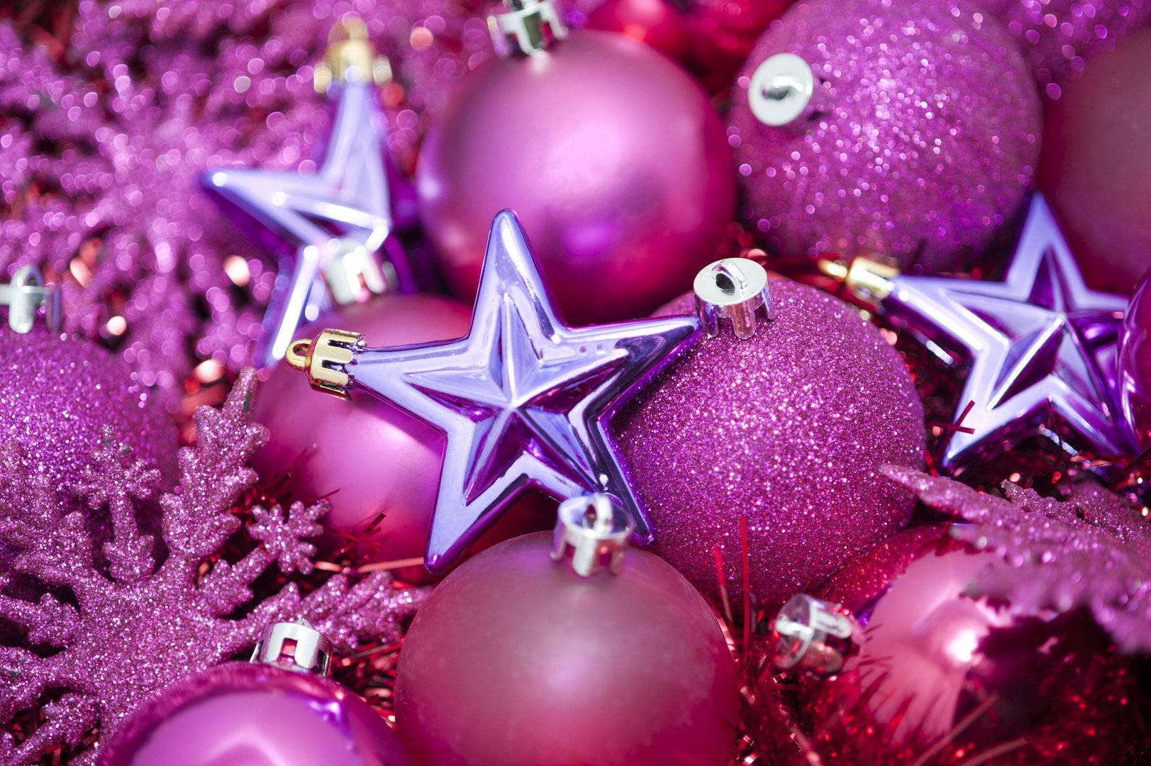 Pink Christmas pictures.jpg