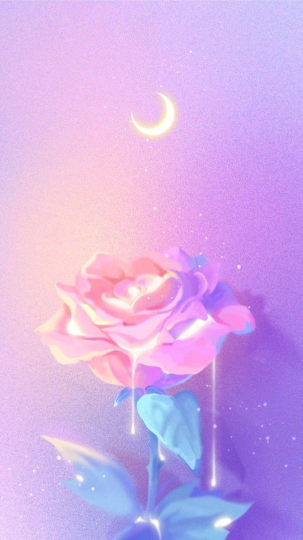 Cute Pink Purple wallpapers.jpg