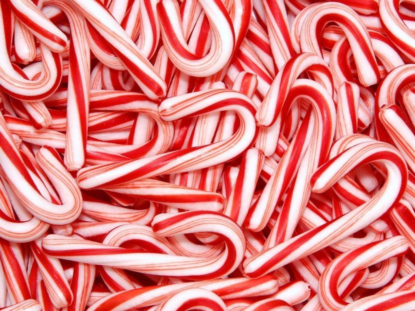 Candy Cane pics.jpg