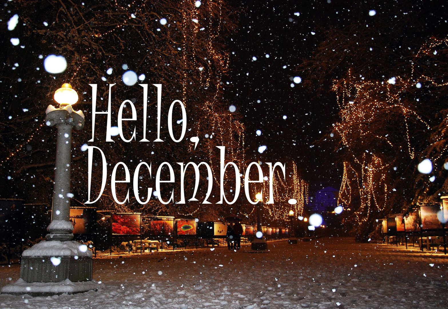 Hello December pics.jpg