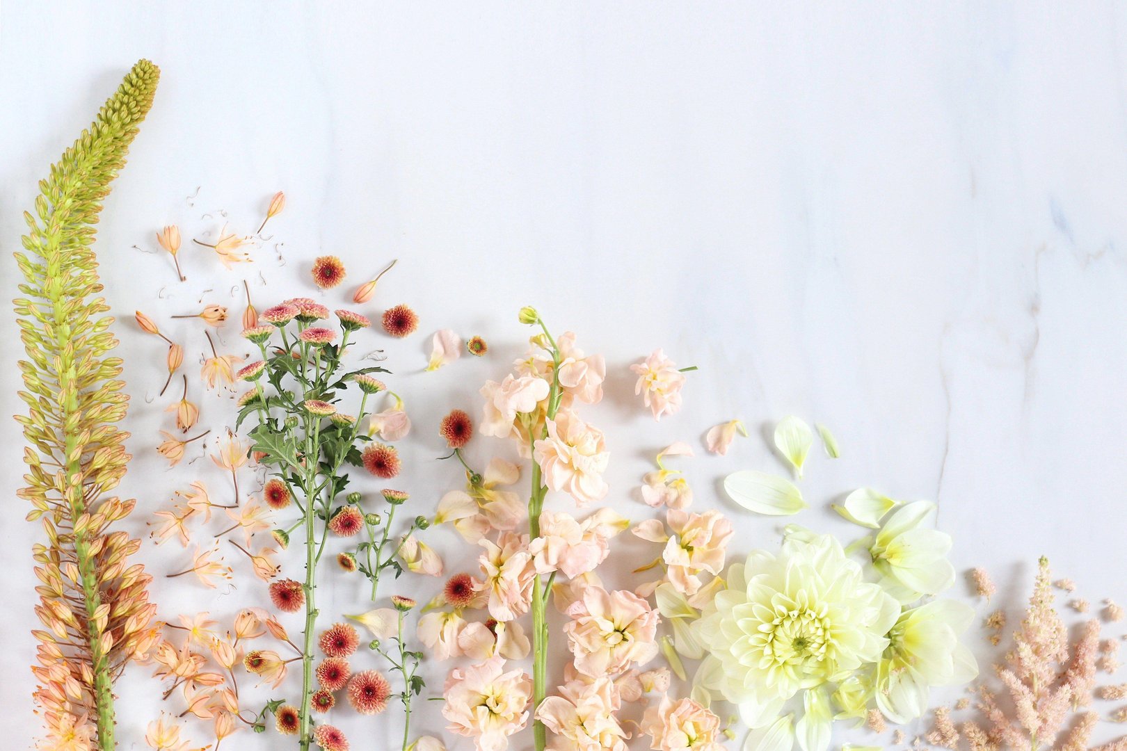 Spring Aesthetic Desktop picture.jpg