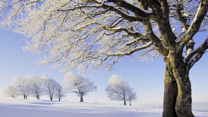 Aesthetic Snow