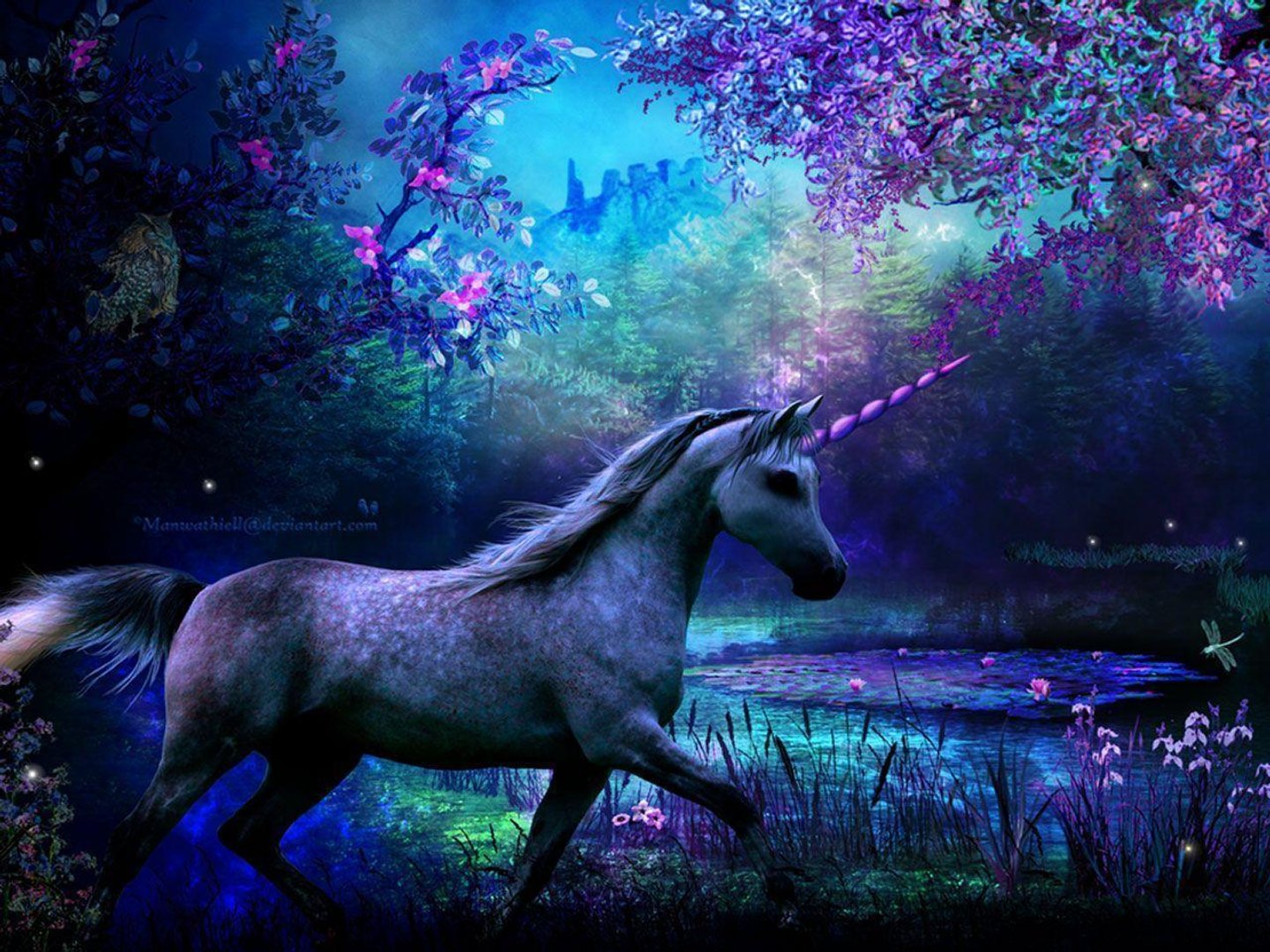 Cool Unicorn Image.jpg