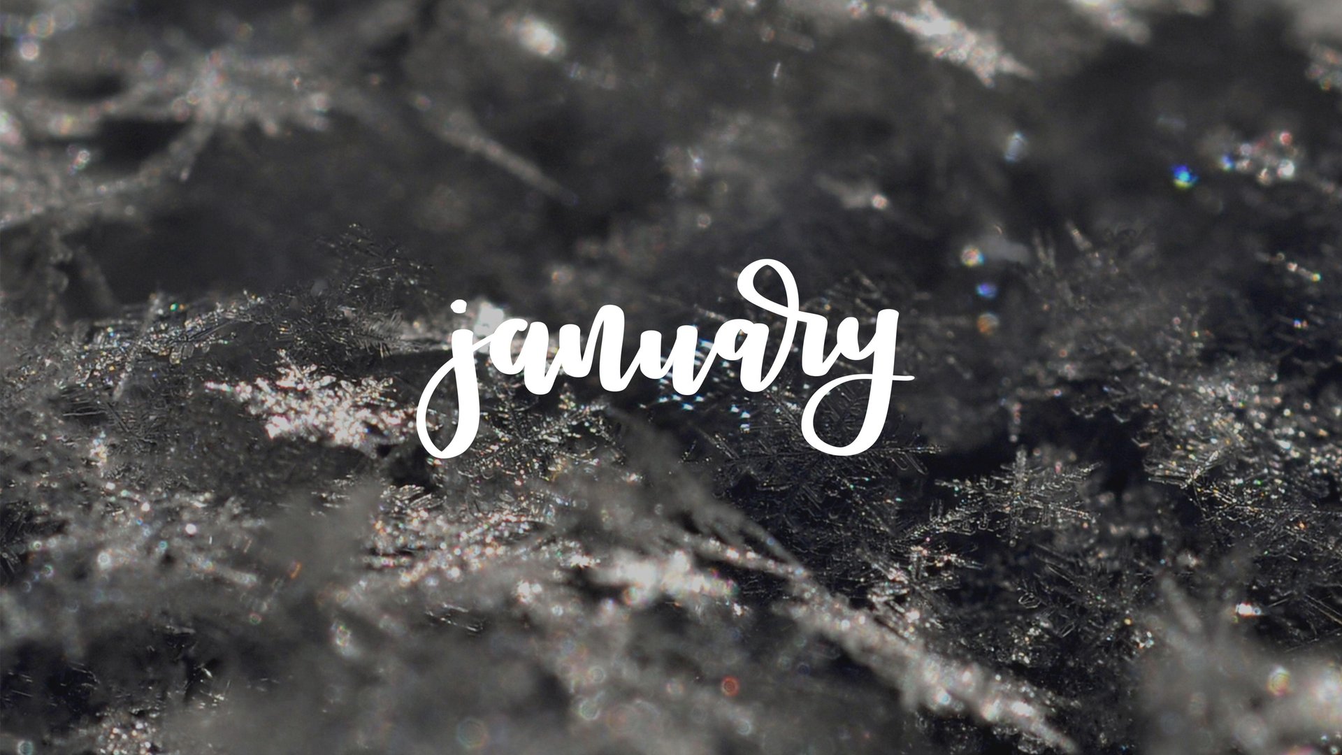 January Pictures.jpg