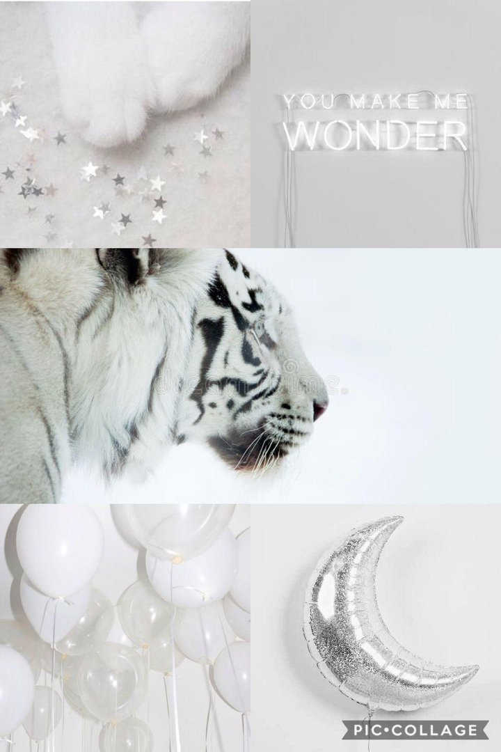 White Aesthetic Image.jpg