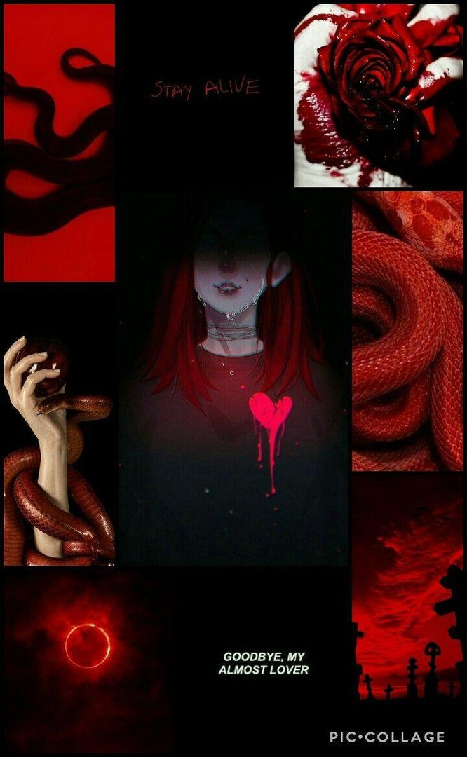 Blood Aesthetic Picture.jpg