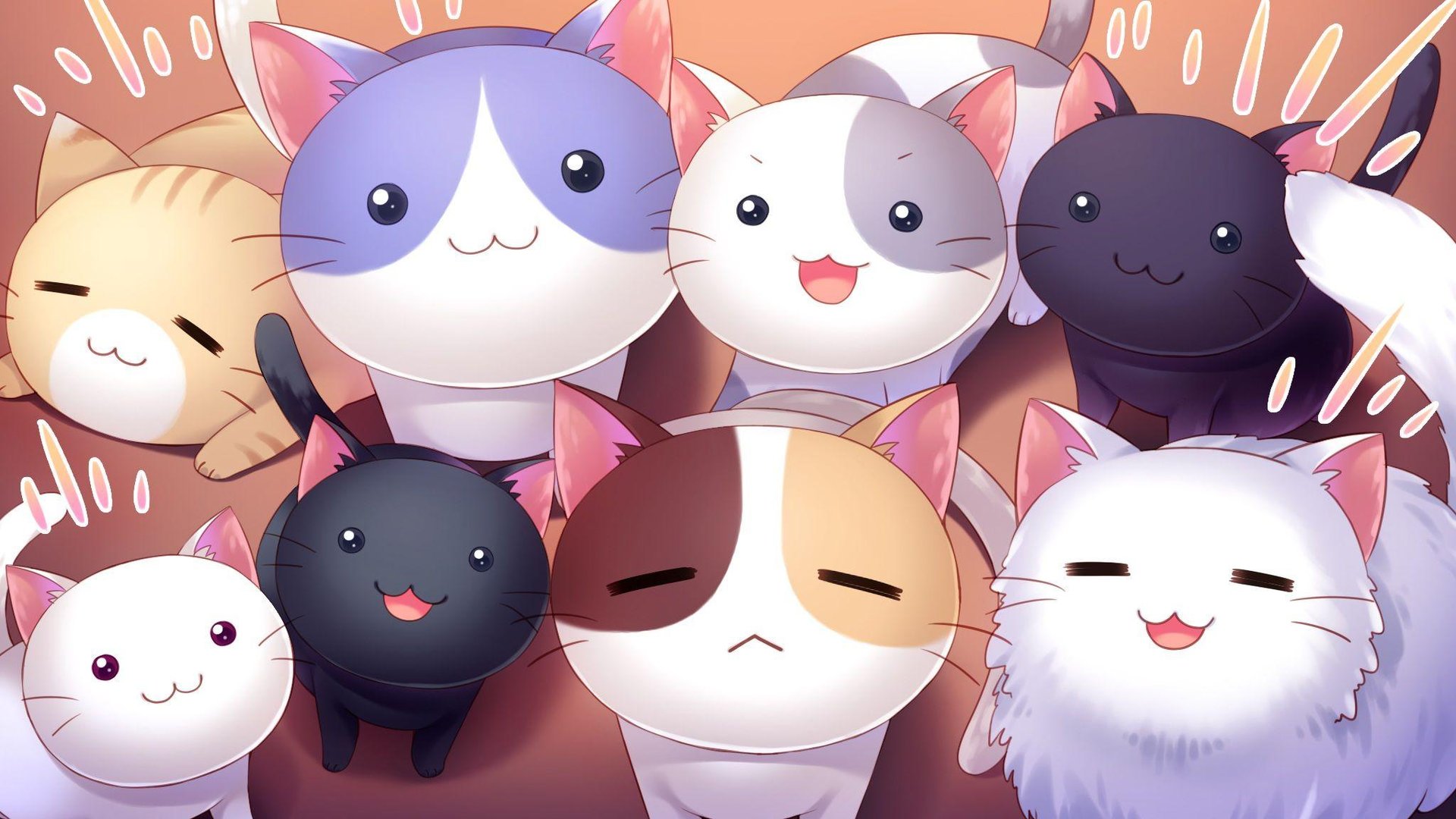 Kawaii Cat Wallpaper.jpg