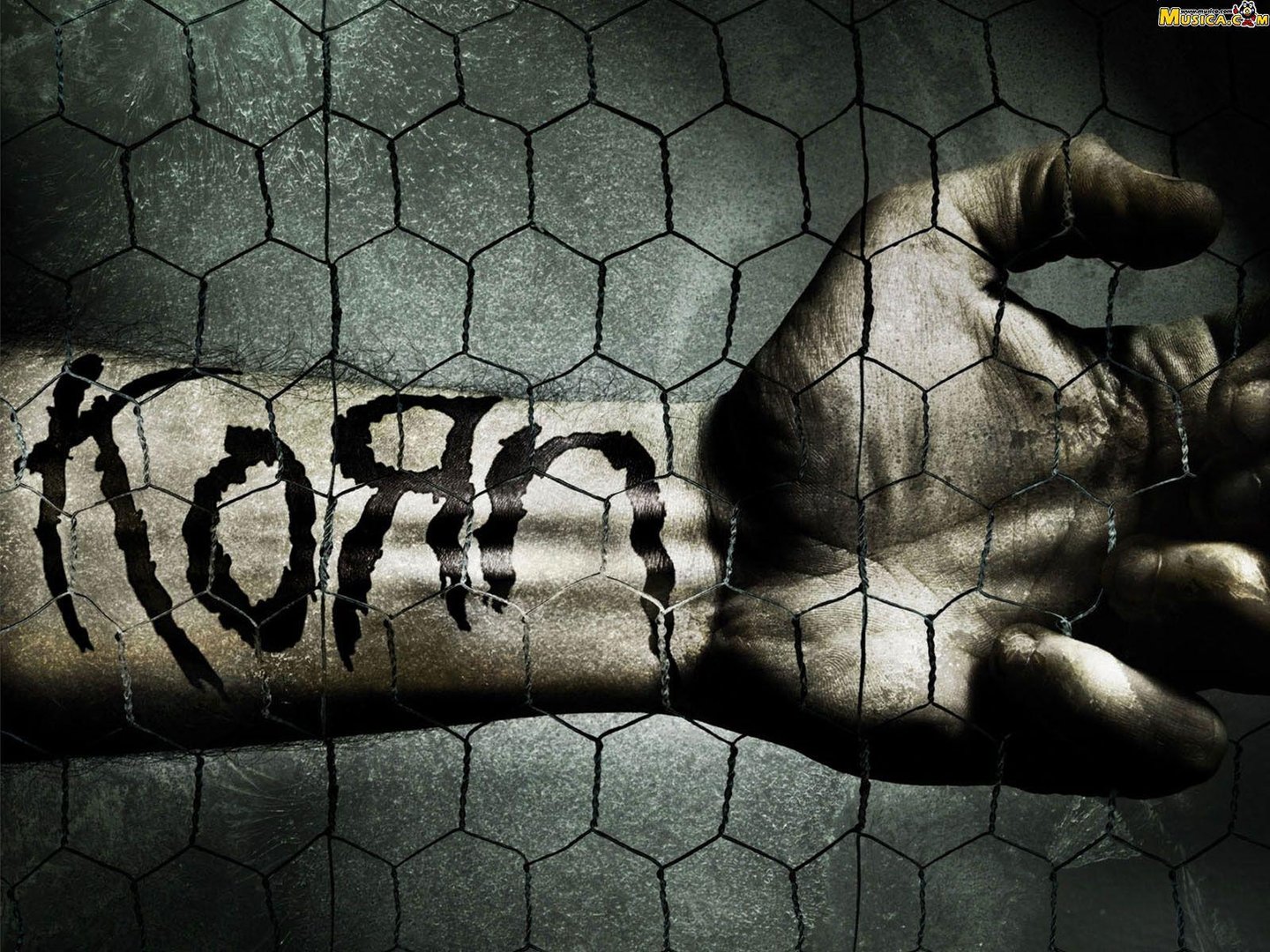 Korn Images.jpg