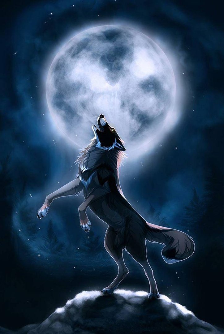 Wolf Aesthetic Image.jpg