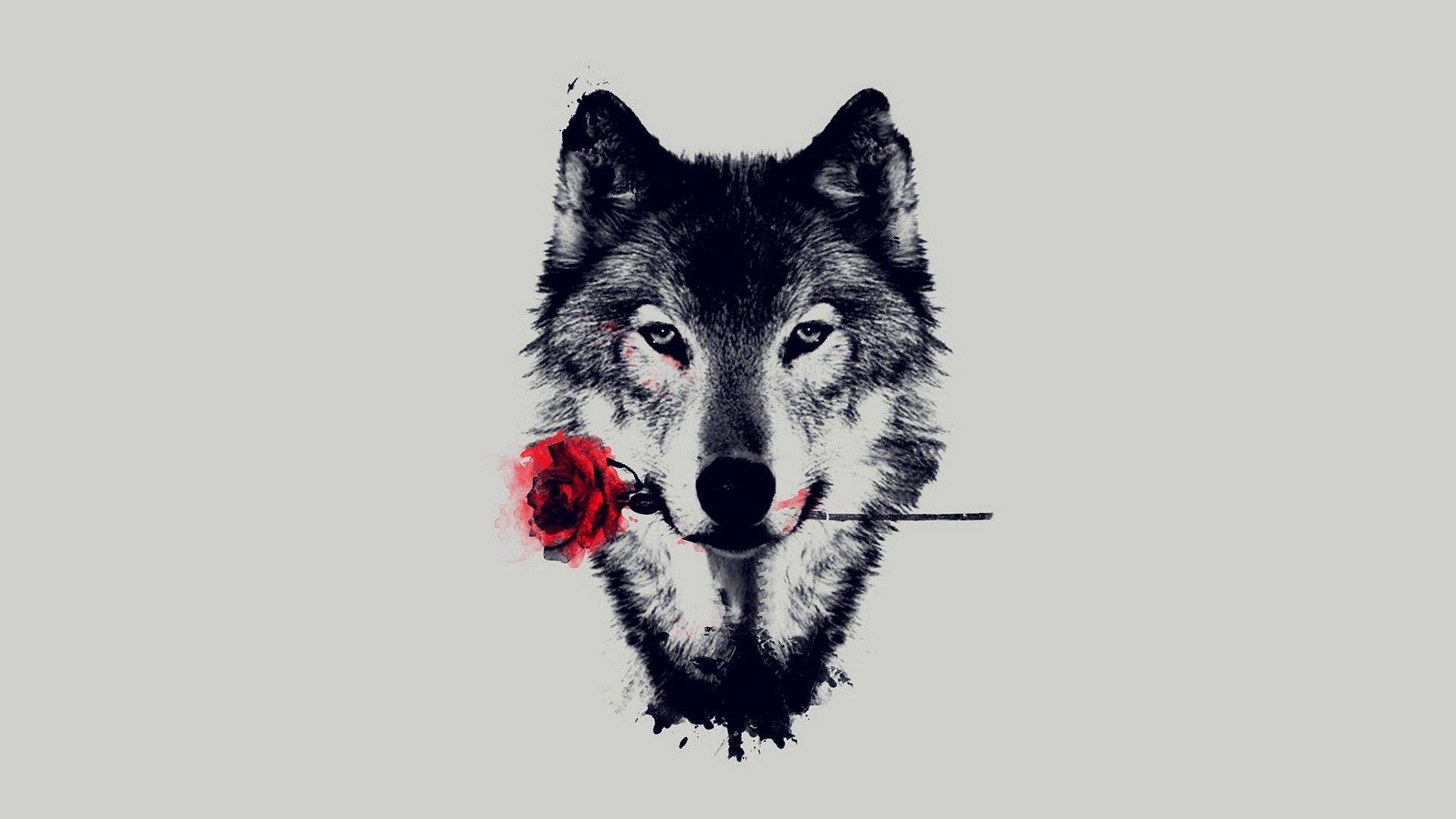 Wolf Aesthetic Images.jpg
