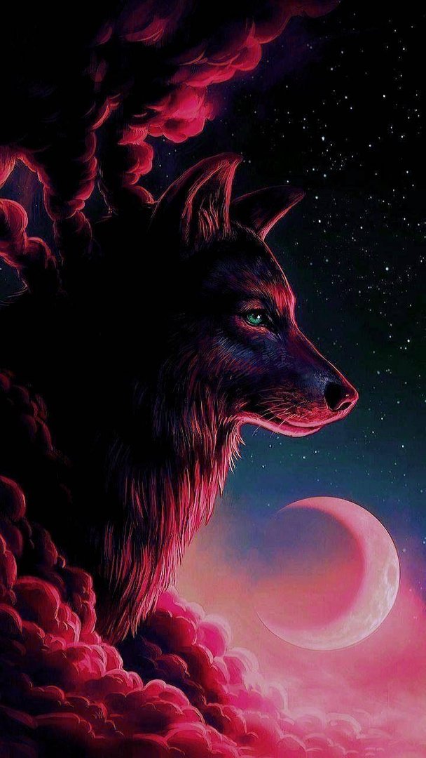 Wolf Aesthetic Pictures.jpg