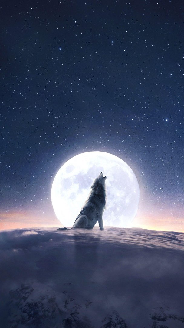 Wolf Aesthetic Wallpaper.jpg