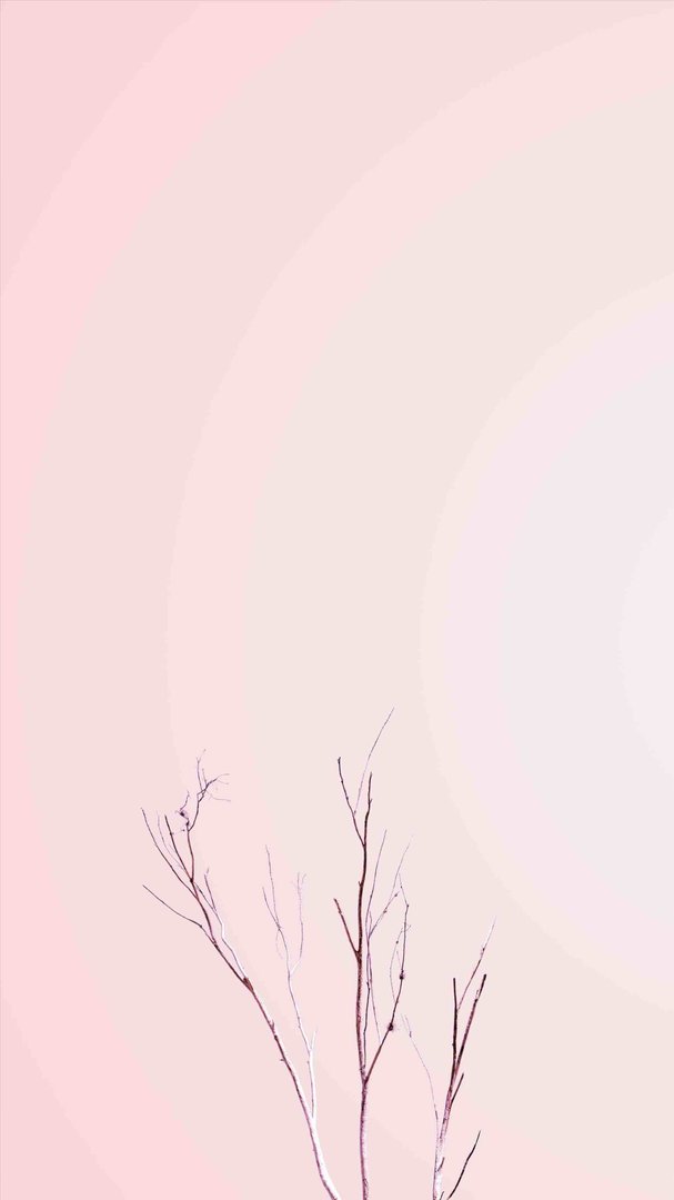 Simple Aesthetic Image.jpg